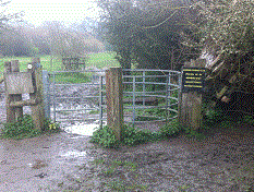PEG 68 Pictures